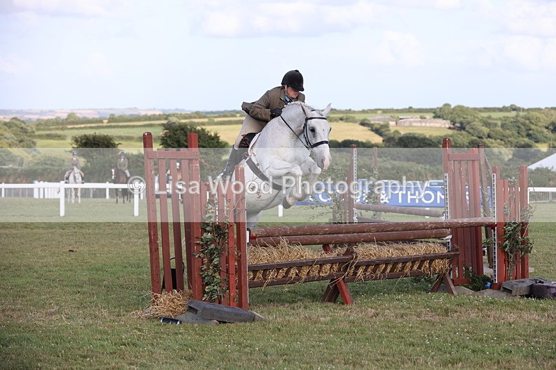 JPP_3387 - Class 22: Working Hunter 90cm