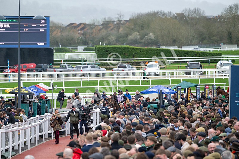 120326-Race 5-Heartwood-8305 - 12th March