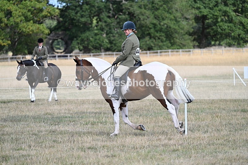 WJ7_7257 - Class 14 Ridden Coloured