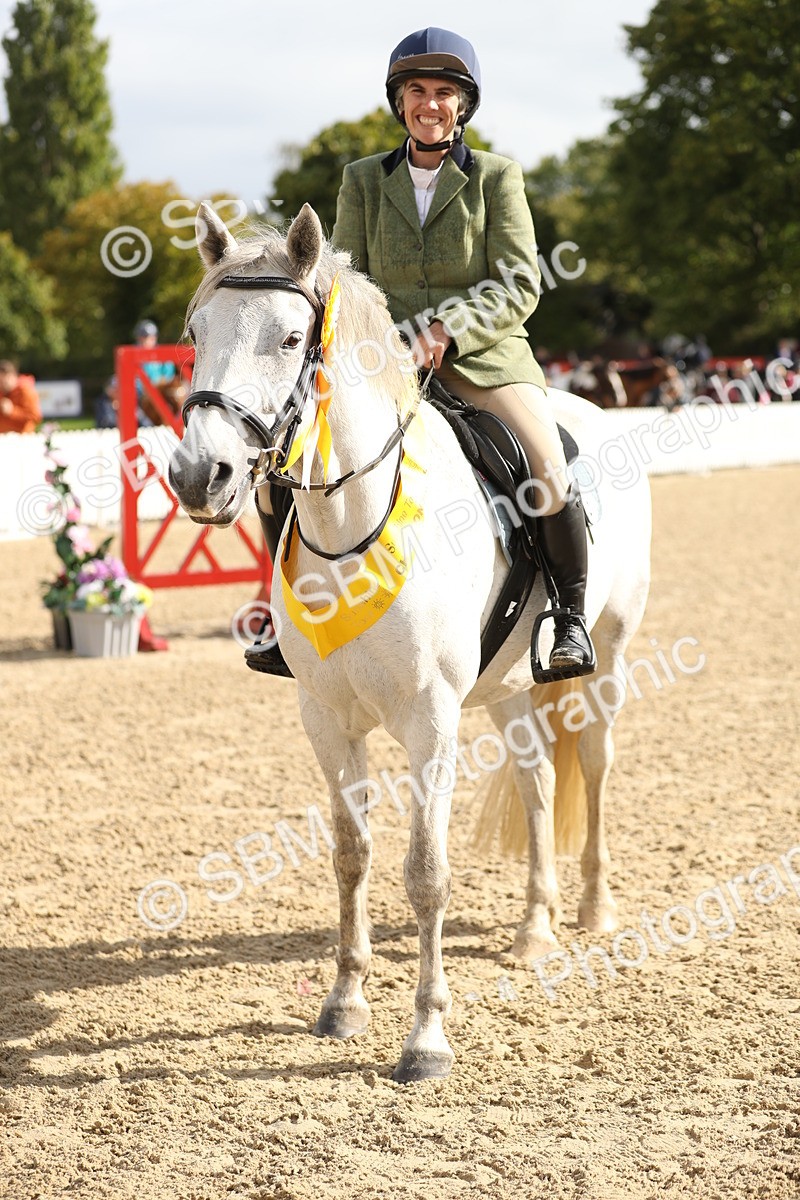 SBM_02049 - J34 - Veteran Rider 50cm