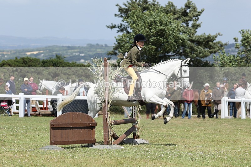 JPP_2110 - Class 19: Working Hunter 60cm