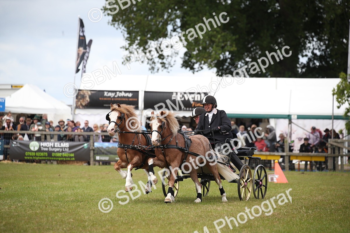 SBM_15497 - Class 90 - Scurry 122cm and Under