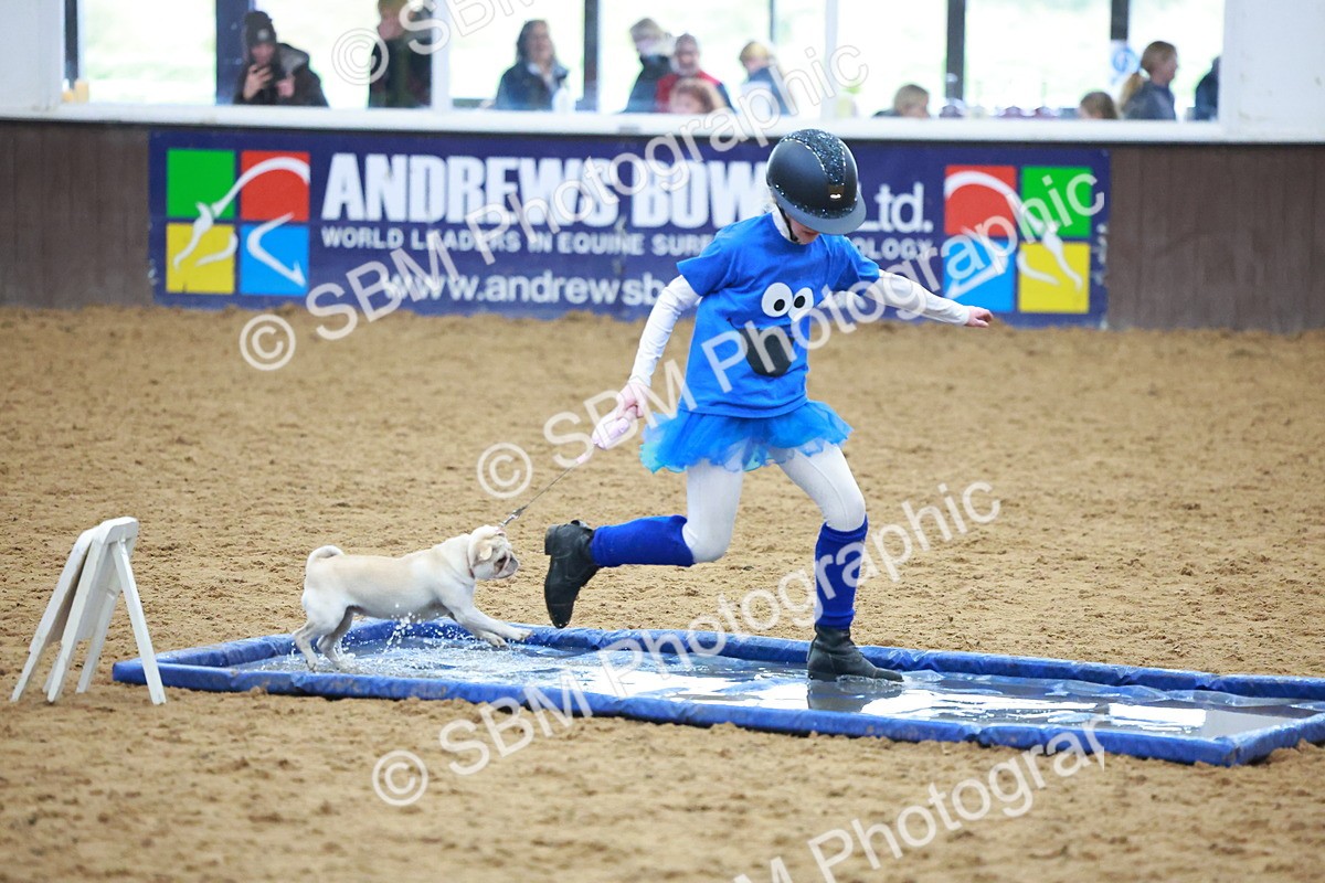 SBM_002151 - Class 3 - Horse & Hound (60cm)