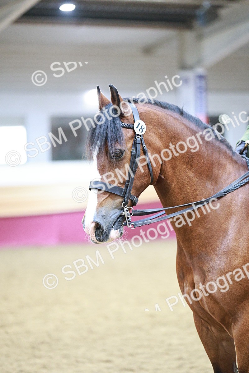 SBM_08939 - Class 12R - Regional Ridden Pre-Vet