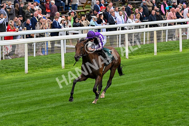 200826-Race 2-Sun Goddess-0284 - Race 2 14.25pm Harry's Half Million By Goffs