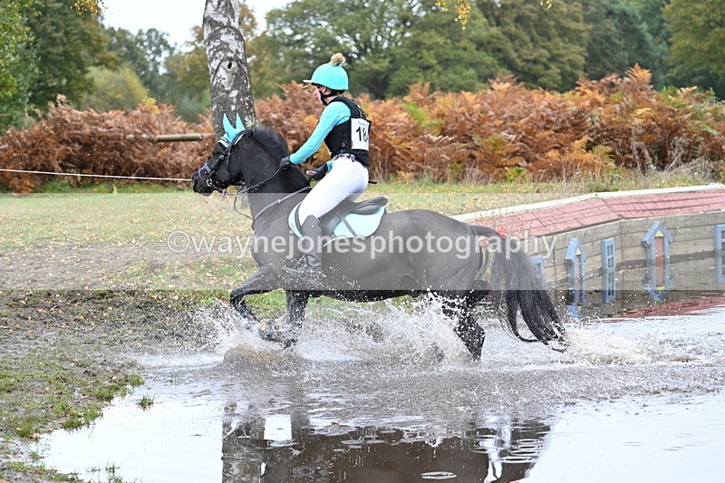 WJ7_2205 - 80cm Cam 2 Pairs Time 12:18 to 12:43