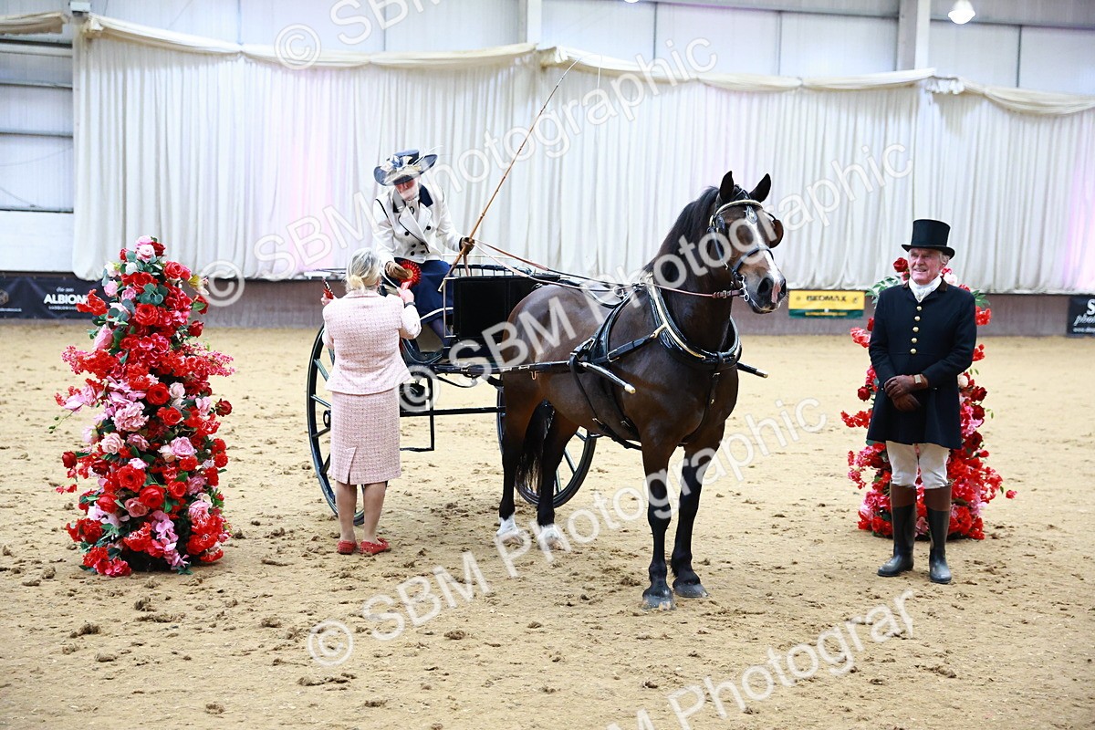 SBM_000224 - Class 3 - Alison Thomas Memorial Lady Whip