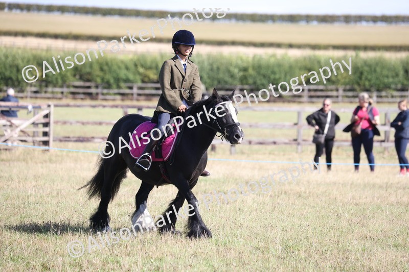 20260906-2174 - Class 16 - Family Pony