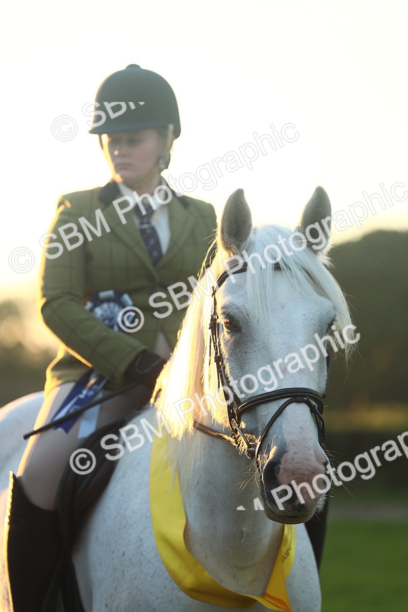SBM_56698 - Fun & Versatile Supreme Championship