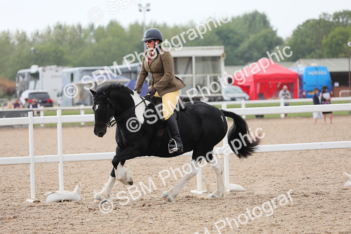 SBM_12747 - Class 307 Ridden Coloured Pony