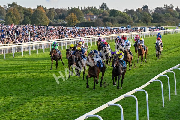 111025-Race 7-Lets Dream-0703 - Race 7 Coral 'Committed To Safer Gambling' Finale Handicap at York