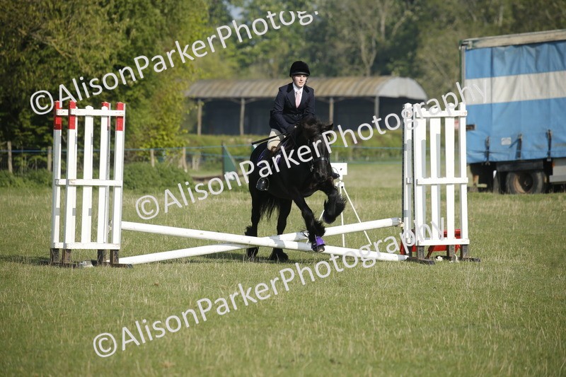 20250427-0218 - Class 12 - Rookie Jumping 40cm