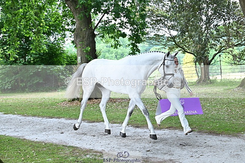 250521A-170341-01497 - C-283-Laura.Collett-COOLEY.ICEAGE