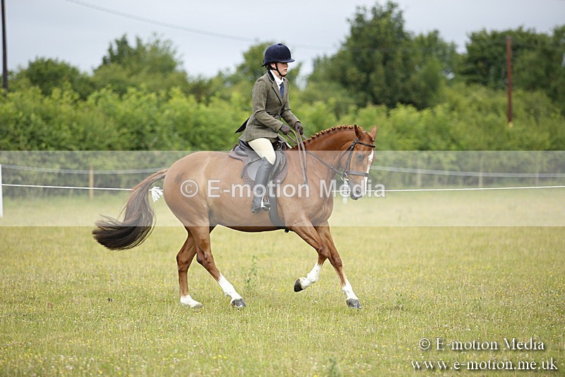 BVR160717-255 - Ring 1 BVRC Show 16/07/17