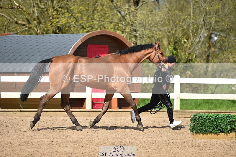 240417A-144548-00637 - 2pm to 3pm