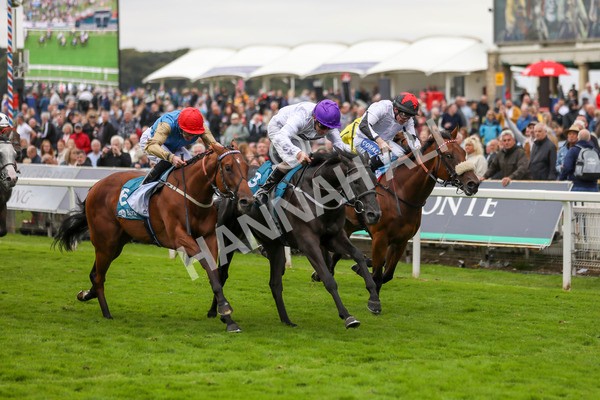 210824-Race 7-Yes Im Mali-7492 - Race 7 5.20pm Sky Bet Nursery Handicap