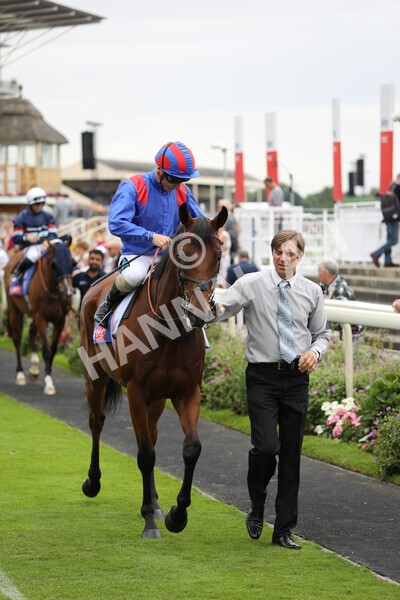 yr23072022r3-6 - Race 3 3.15pm Sky Bet York Stakes