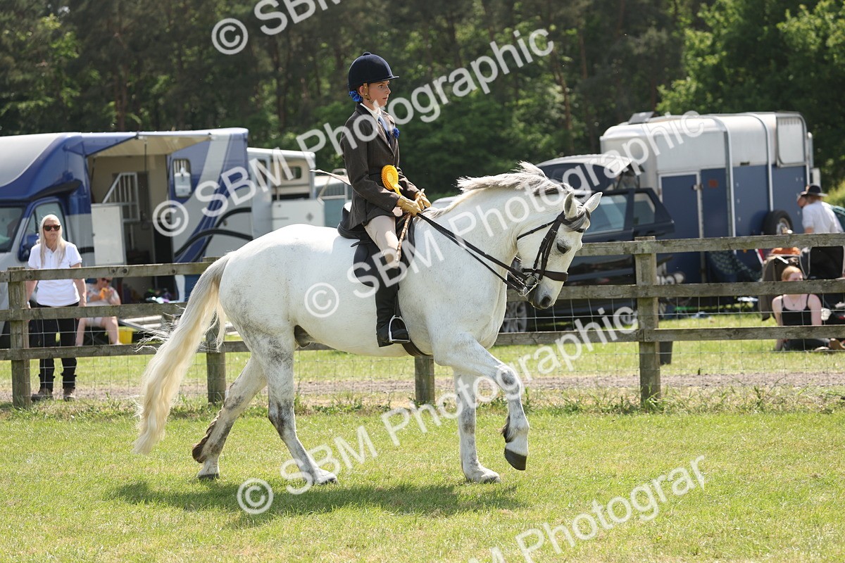 SBM_07652 - Class 26-30 - Mountain and Moorland Ridden
