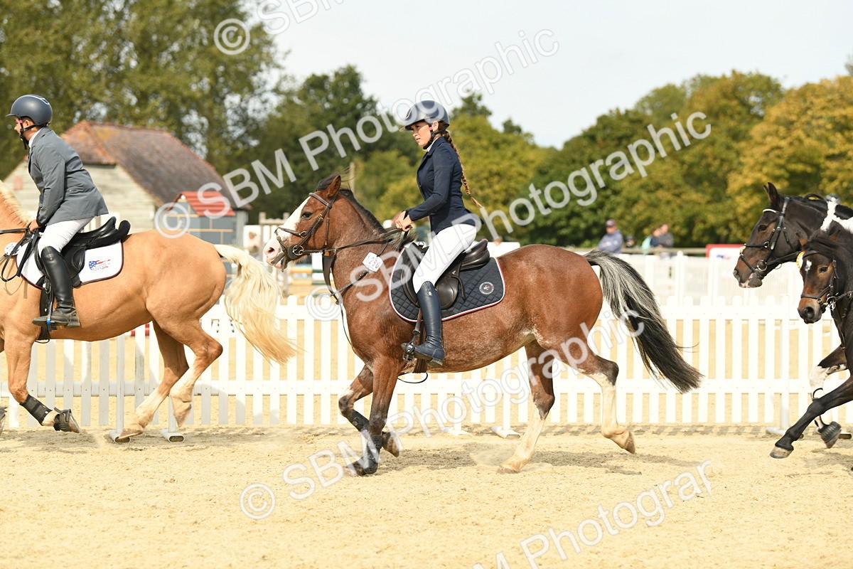 SBM_65320 - J48 - Pairs Jumping Open 70cm & 85cm