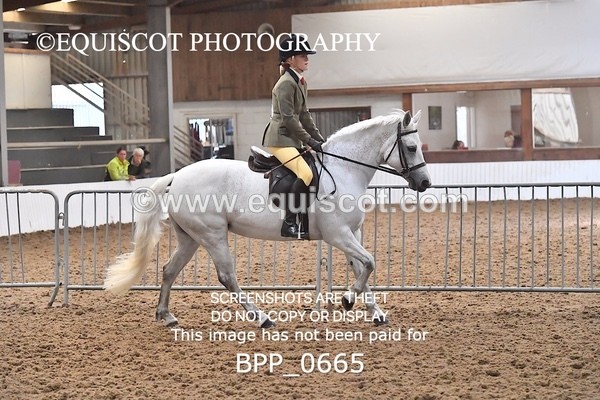 BPP_0665 - RING 2