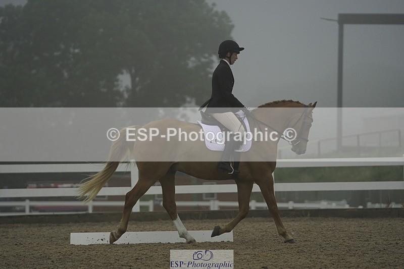 230708A-150234-03972 - Prelim 18