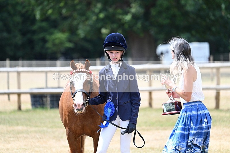 WJ7_2109 - Prettiest Mare Champs