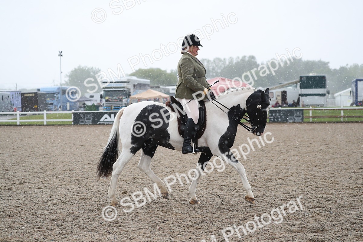 SBM_20492 - Class 601 - 2025 Area - Ridden Diamond