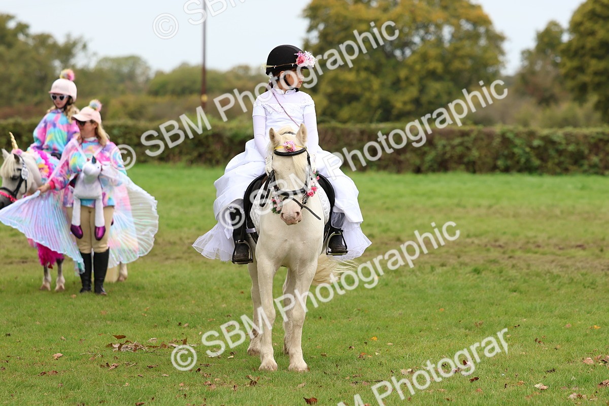 SBM_62217 - S37b - Best Unicorn