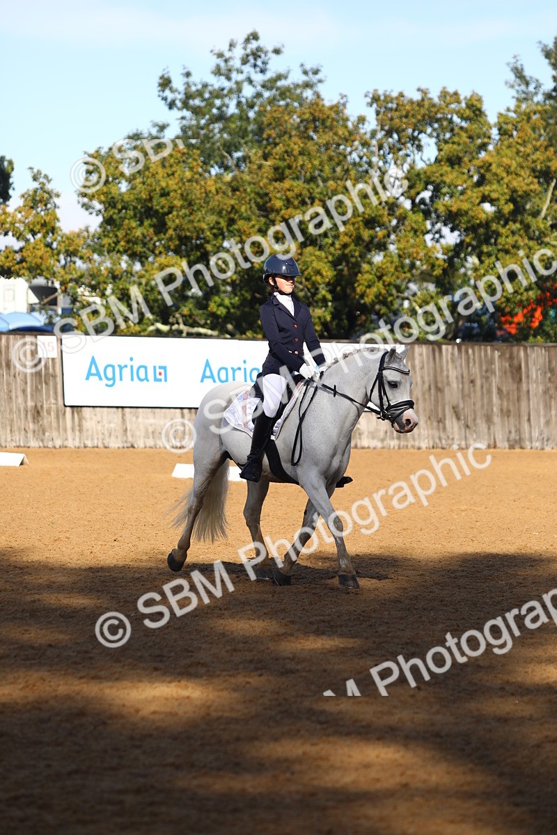 SBM_38964 - D21 - Junior Championship Intro 1