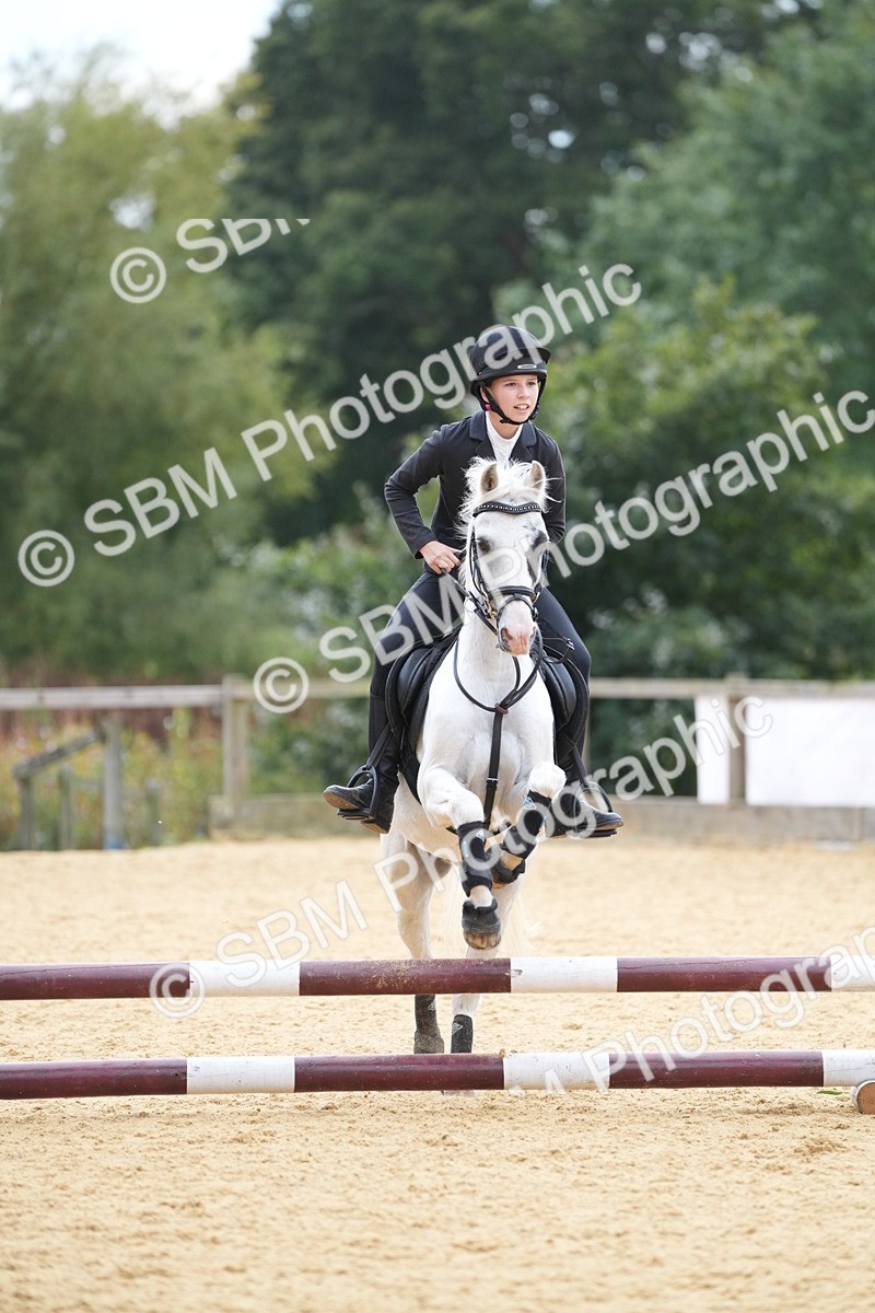 SBM_74795 - J4 - Mini Tour Junior Pony 45cm Championship