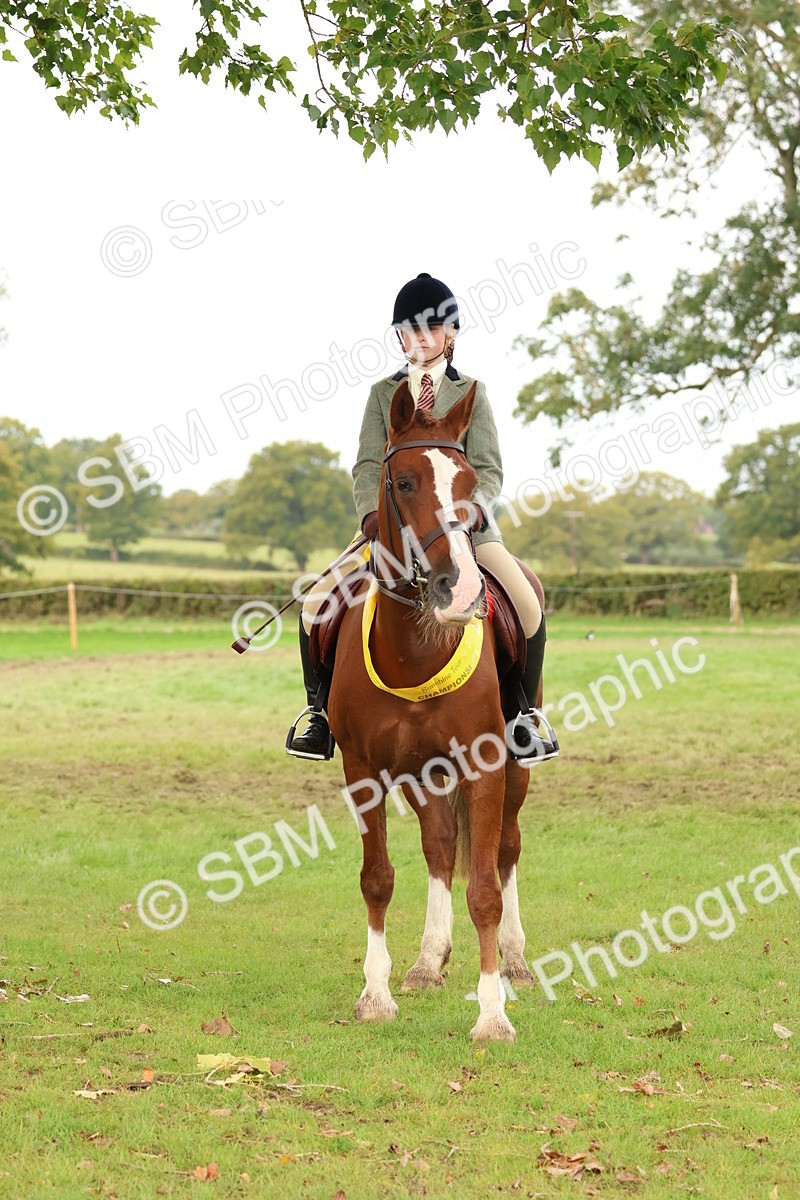 SBM_59812 - Start Supreme Championship