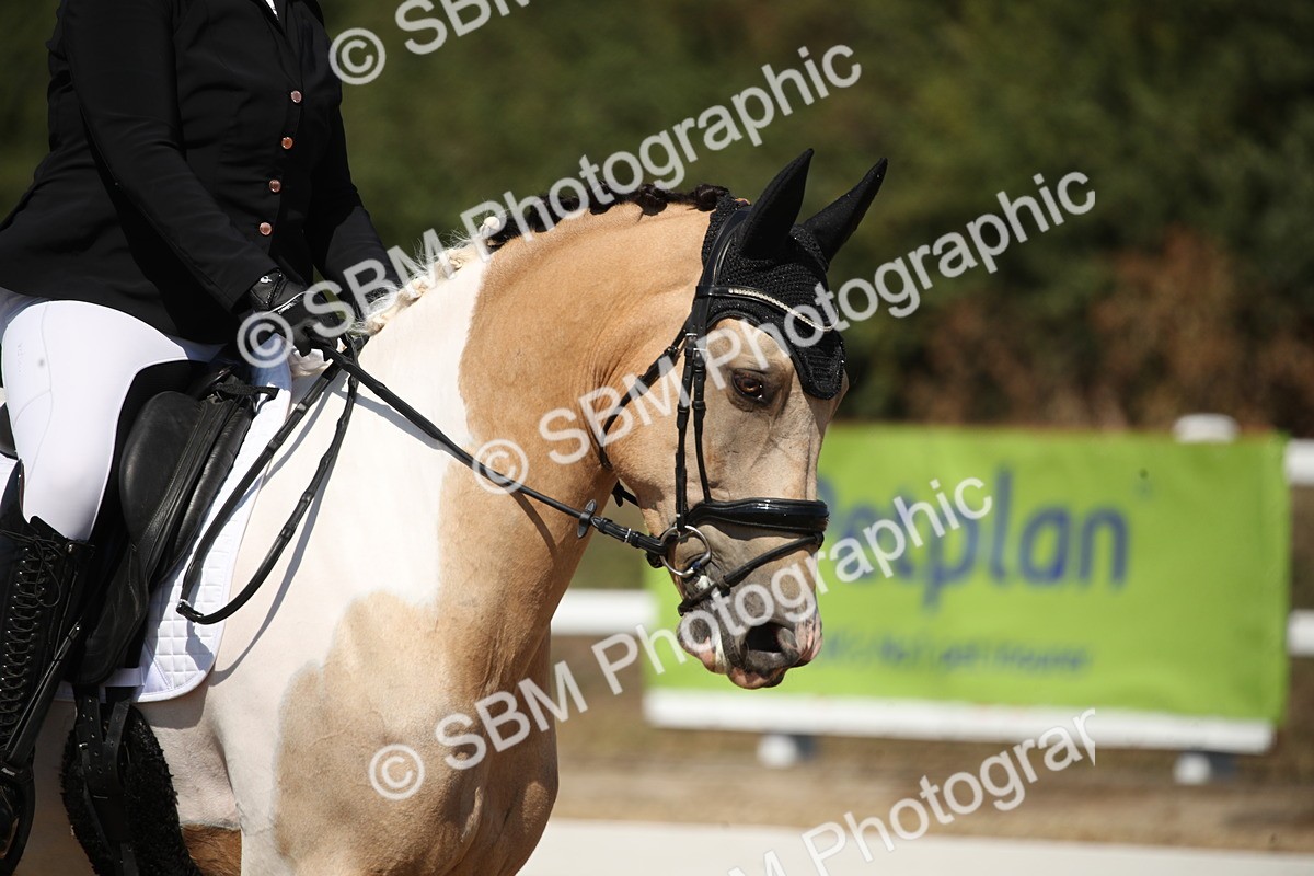 SBM_005073 - Class 11 - Novice 5 - 11.41-12.58