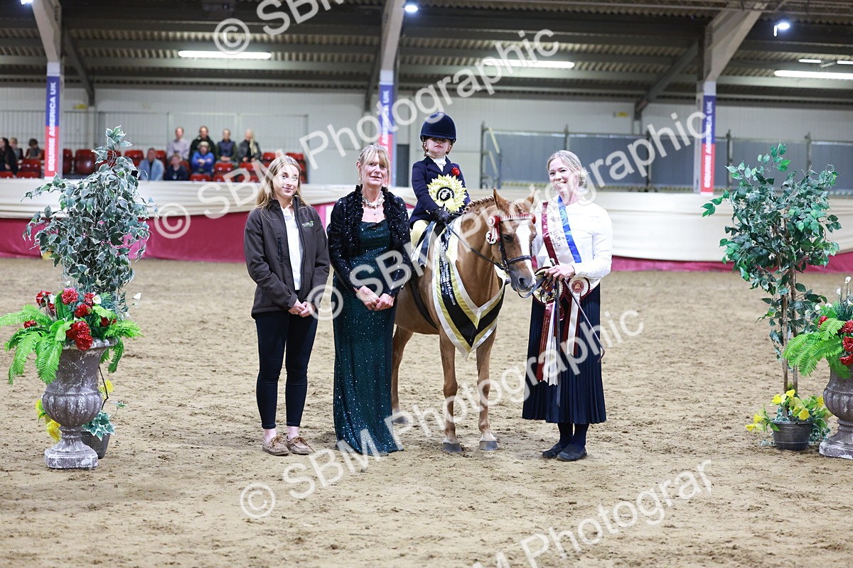 SBM_20591 - Class H - IH Competition - Riding Club champ