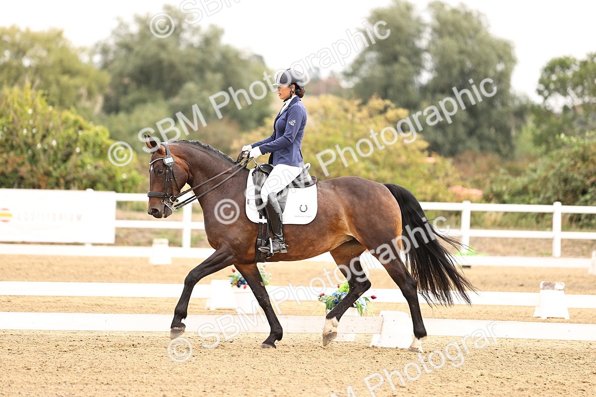 SBM_011612 - Class 1 - Medium 5