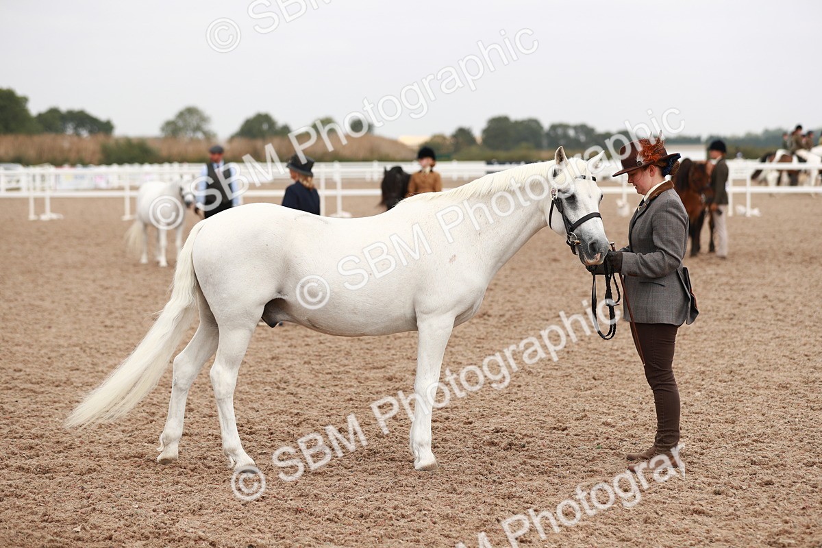 SBM_12543 - Class 207 IH M&M