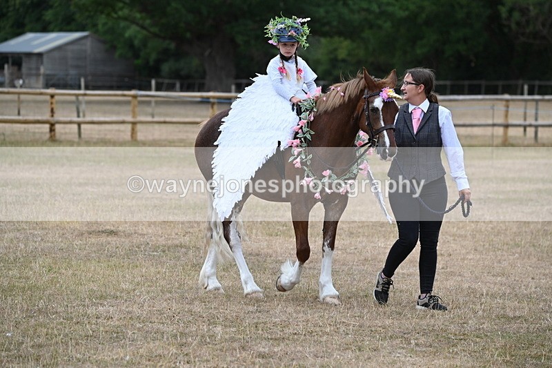 WJ6_8592 - Class 11 Fancy Dress