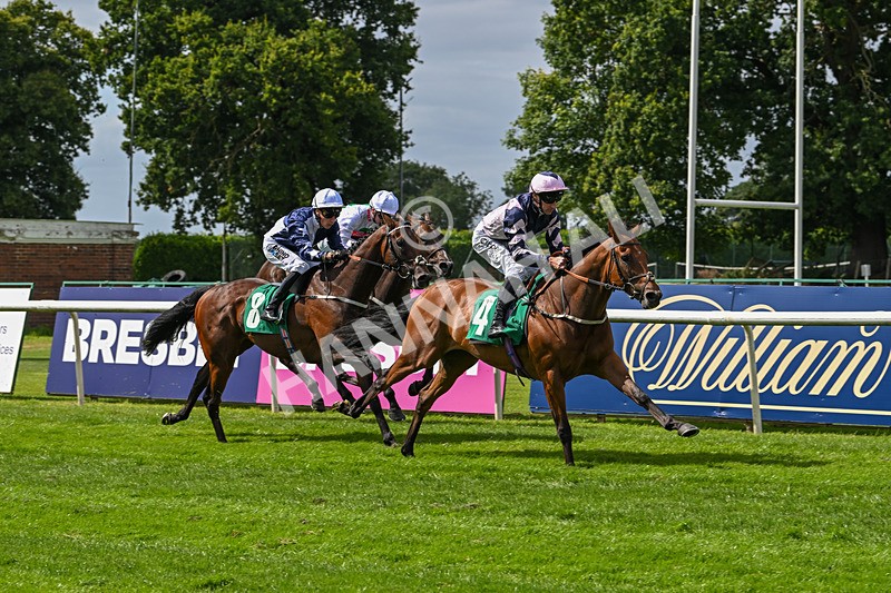 030824-Race 2-Barefoot Warrior-1522 - Race 2