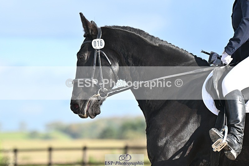 231105-124909-01211 - Cls 3 Prelim 12 12.40 to End