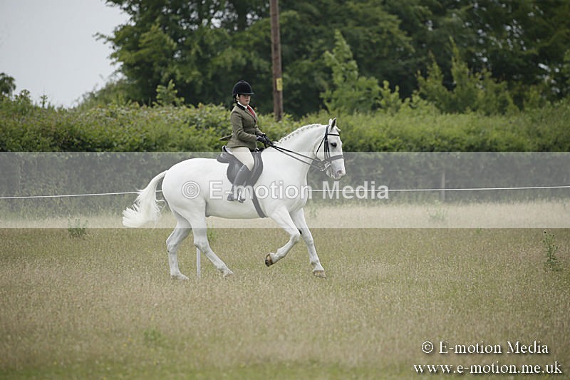 B230619-0711 - Bourne Valley Riding Club Summer Show 23/06/19