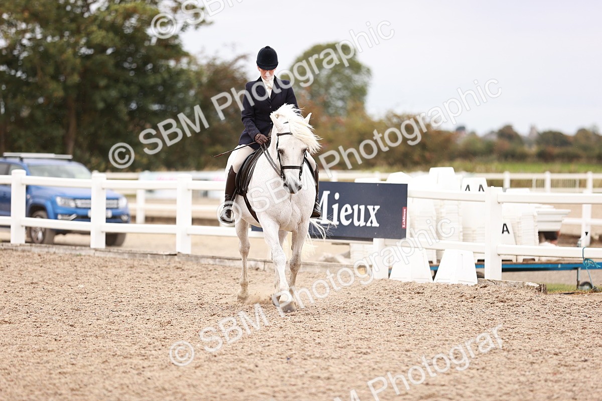 SBM_19004 - Class 422 - Ridden M&M