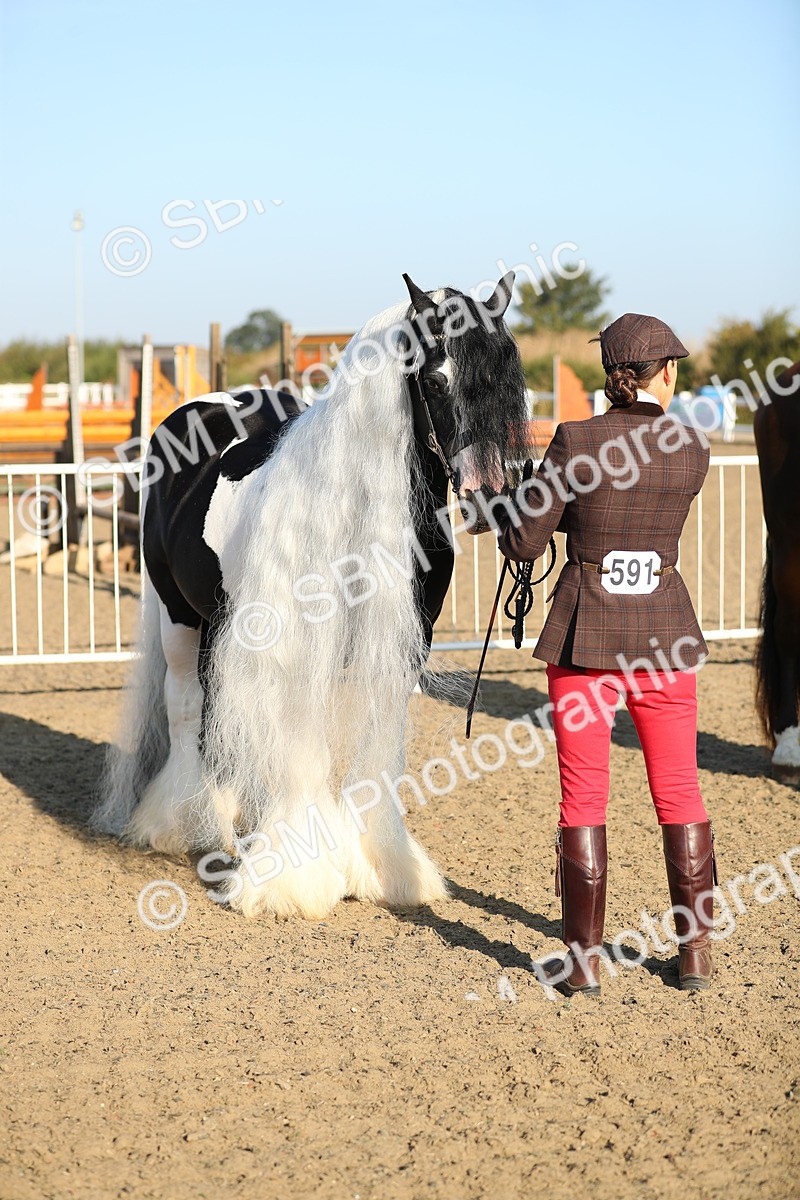 SBM_00009 - Class 40 Best Turned Out IH