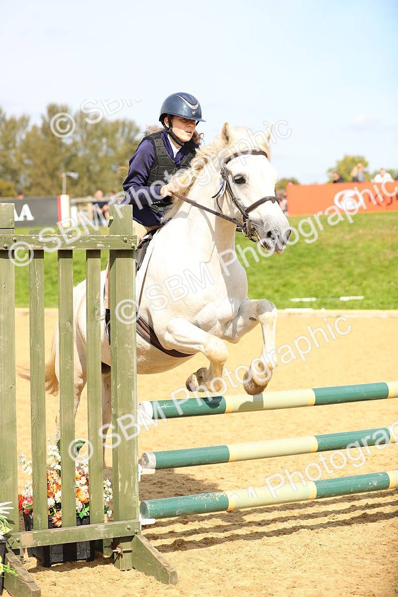 SBM_66047 - J17 - Junior Pony 80cm Championship