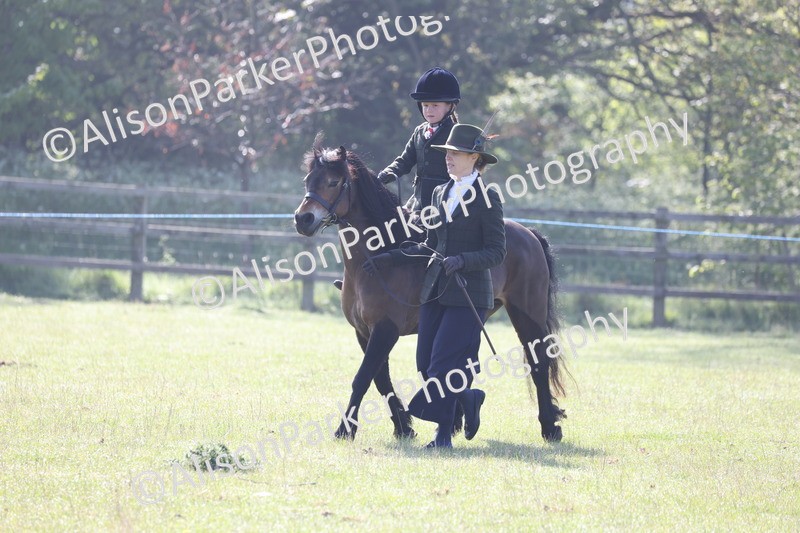 20250427-0129 - Class 30 - Tiny Tots Lead Rein
