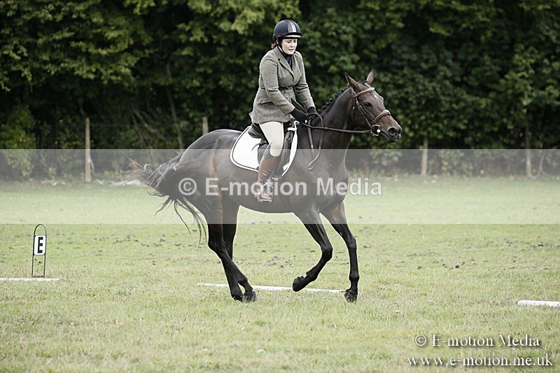 BVR080918 234 - BVRC Novice Dressage & CR 08/09/18