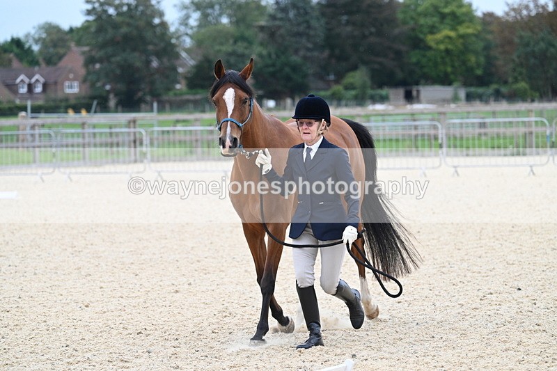 WJ7_1875 - Class 1 & Champs