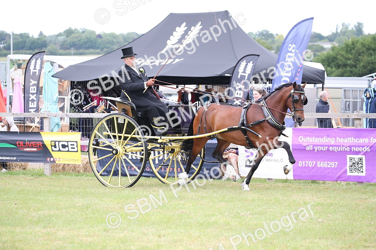 SBM_05739 - Class 12-15 - HOYS Private Driving