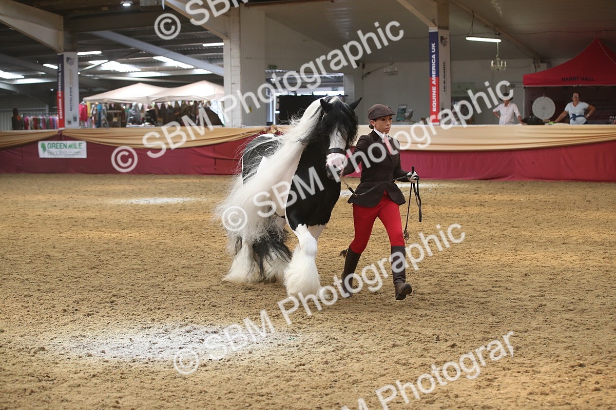 SBM_05608 - Class 9R - Regional IH Pre-Vet