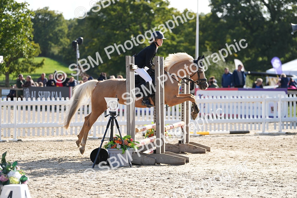 SBM_49255 - J8 - Junior Pony 65cm Championship