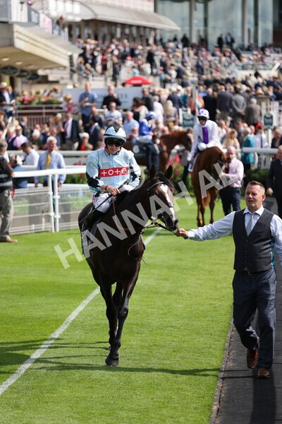 yr18082021r4-35 - Race 4 3.35pm Juddmonte International Stakes (British Champion Series race)