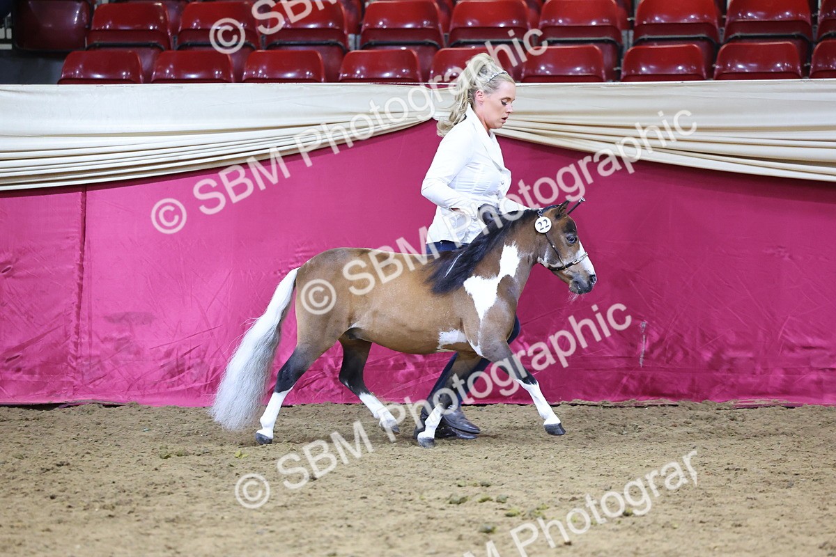 SBM_18677 - Class D IH Pony Champ